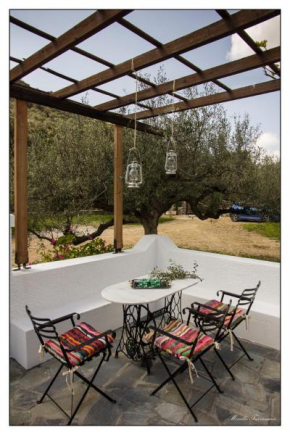 Liodentro House